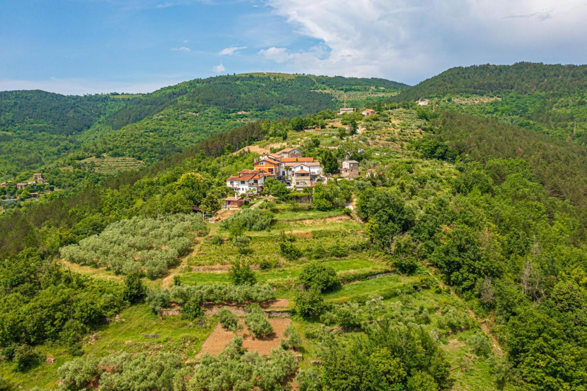 Holiday Home Belveder Motovun Livade Eksteriør billede