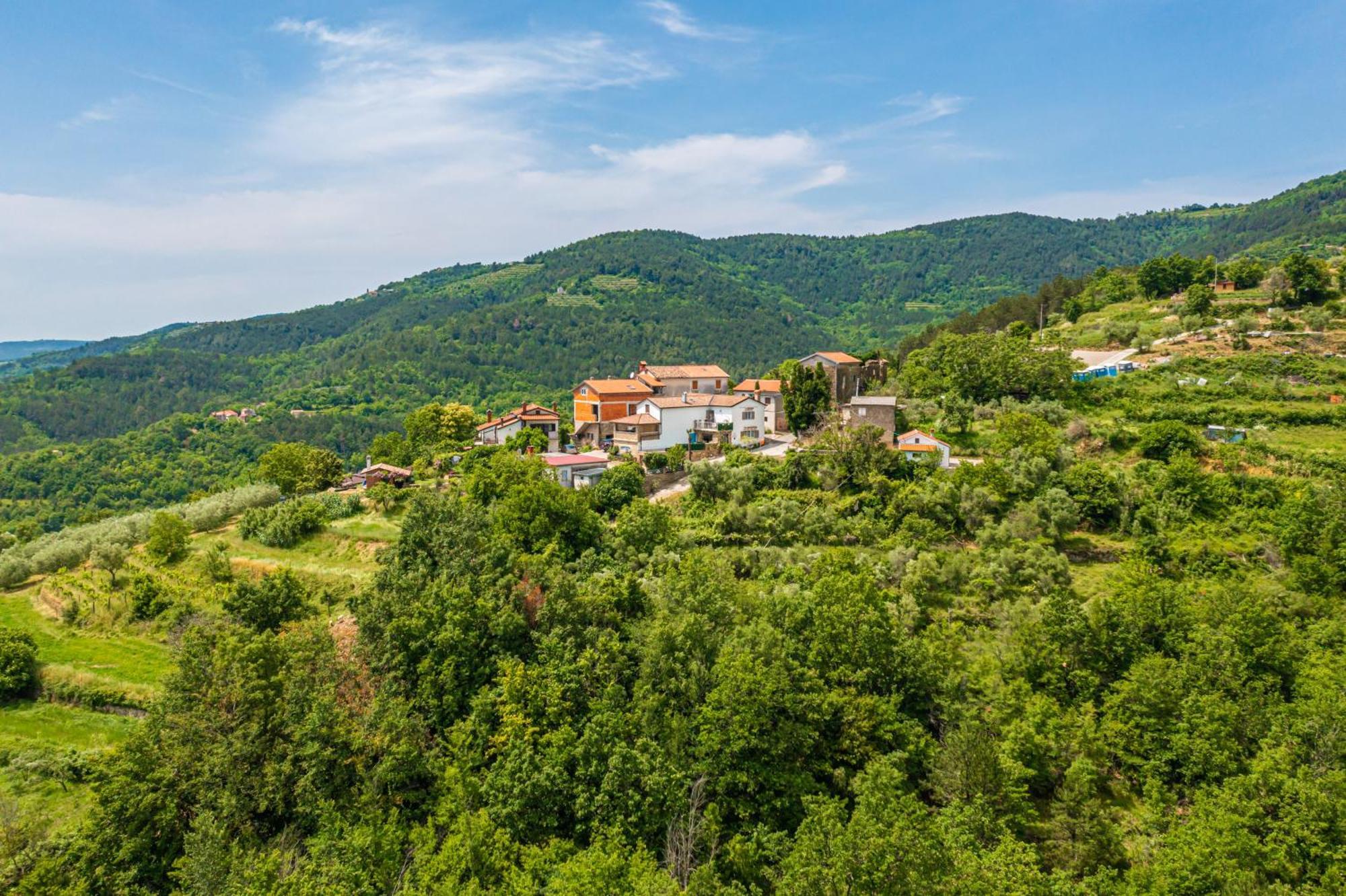 Holiday Home Belveder Motovun Livade Eksteriør billede