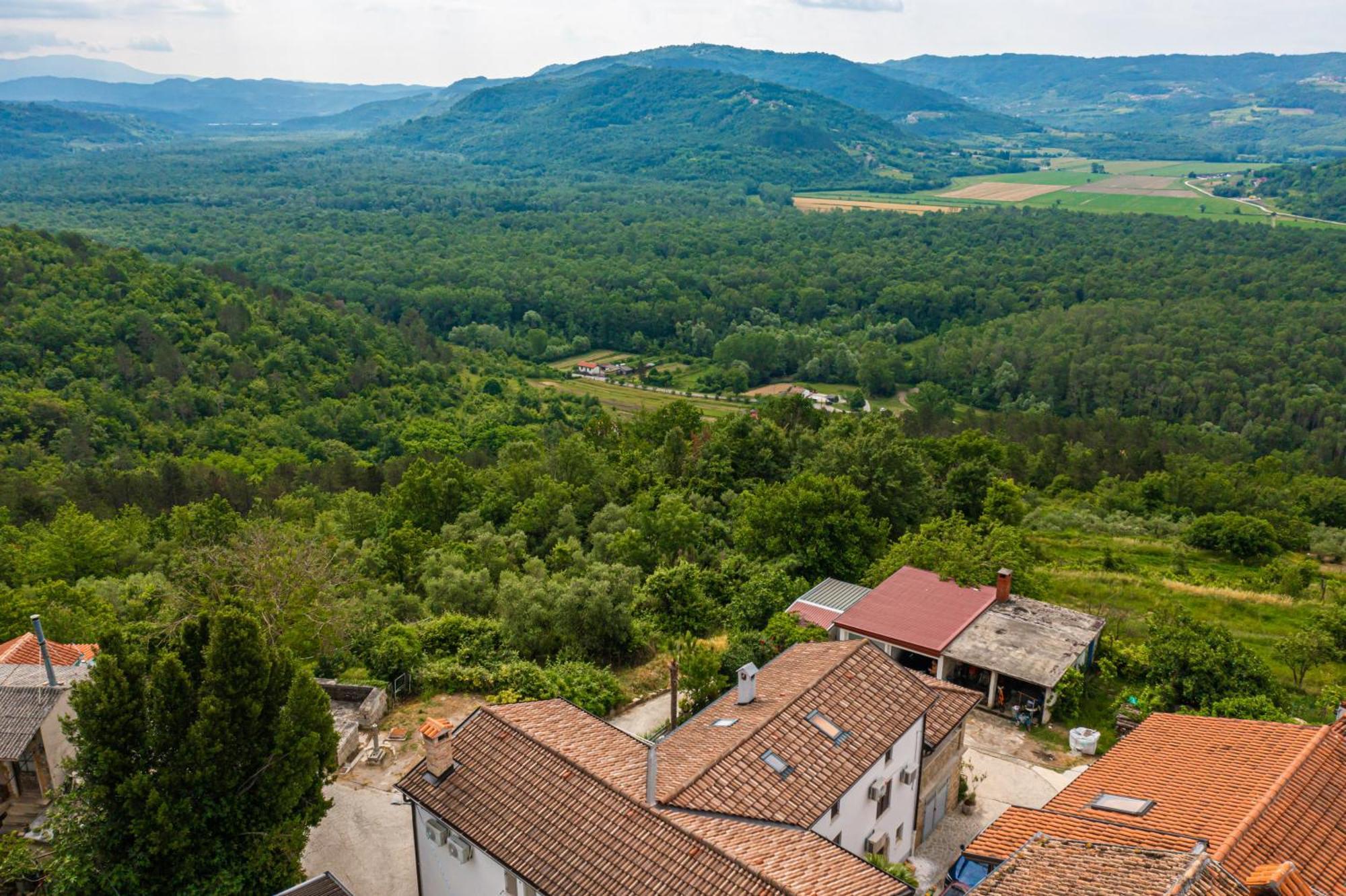 Holiday Home Belveder Motovun Livade Eksteriør billede